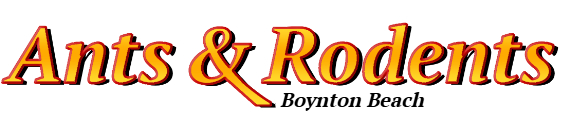 Boynton Beach Ant Exterminator & Rodent Control Company Logo